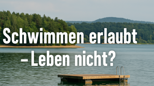 Der Wels vom Brombachsee – Schwimmen erlaubt – Leben nicht!
