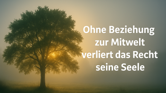 Wenn ein Fluss schweigt – und ein Kind fragt